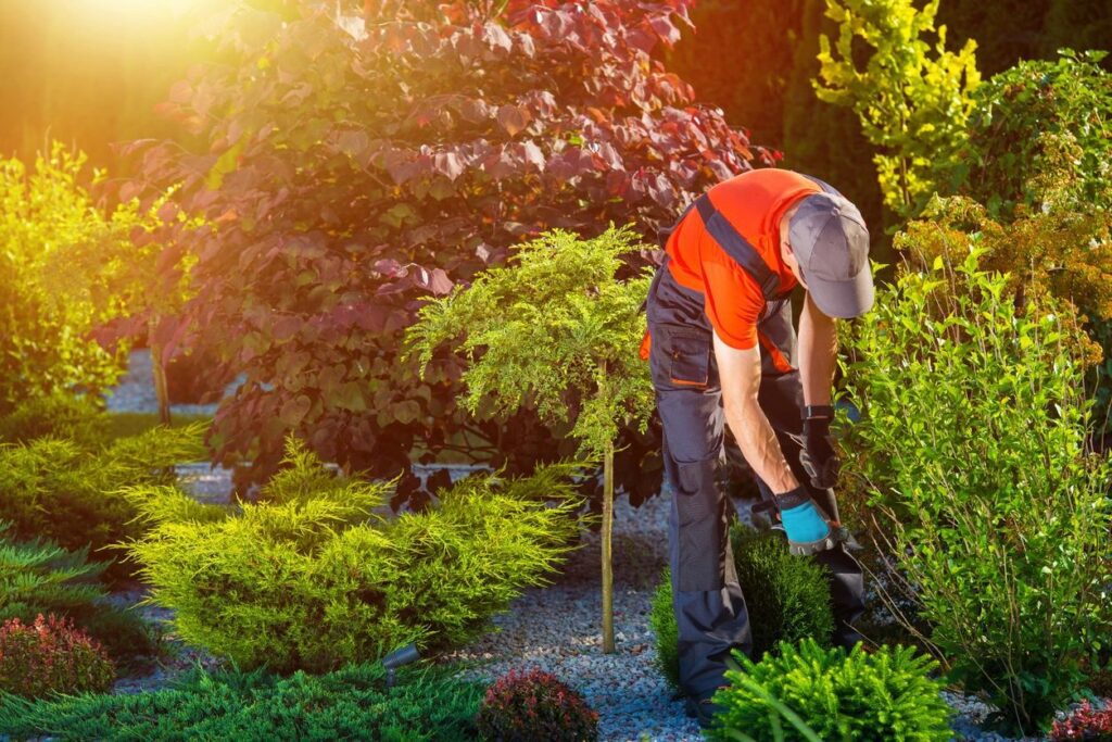 A person doing gardening wearing gloces and a hat